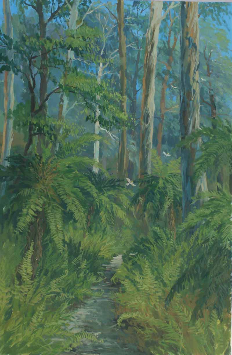 Tree ferns and the forest,Dandenong